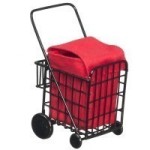 (*) Dollhouse Push Shopping Cart