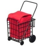 (*) Dollhouse Push Shopping Cart