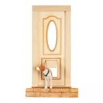 Dollhouse Pet Door Door(s)