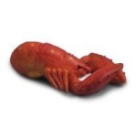 Dollhouse Fresh Lobster