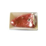 (*) Dollhouse Supermarket Meat Packages - Choice of Style -