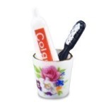 (*) Dollhouse Toothbrush Set