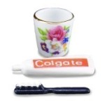 (*) Dollhouse Toothbrush Set