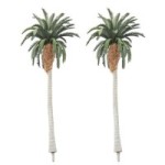 Date Palm Trees