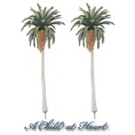 Date Palm Trees