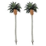 Tropical Palm Trees
