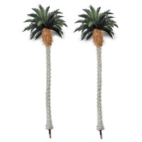 Tropical Palm Trees