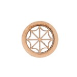 Dollhouse Round Spider Design Window