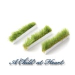 (*) Dollhouse Butcher Display Green Trim