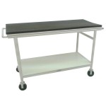 Dollhouse Patient Trolley