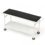 Dollhouse Patient Trolley