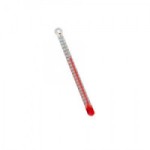 (*) Dollhouse Oral Thermometer