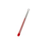 (*) Dollhouse Oral Thermometer