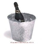 Dollhouse Champagne in Bucket