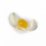 Disc $1 Off - Dollhouse Broken Egg