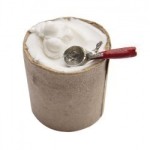 Dollhouse Store Ice Cream