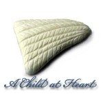 (*) Dollhouse Fresh Fish Filet