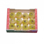 Dollhouse Case of Turnips (Filled)