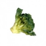 1 or 6 pc Dollhouse Garden Fresh Broccoli