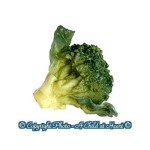 1 or 6 pc Dollhouse Garden Fresh Broccoli