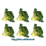1 or 6 pc Dollhouse Garden Fresh Broccoli