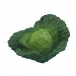 &amp;sect; Sale .60&amp;cent; Off - Head of Green Cabbage