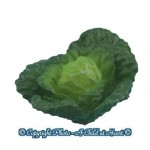 &amp;sect; Sale .60&amp;cent; Off - Head of Green Cabbage