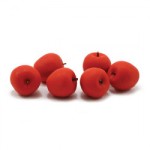 (*) 6 Dollhouse Red Apples