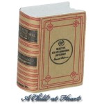 (*) Dollhouse Vintage Webster Dictionary
