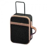 Dollhouse Carry-On Suitcase