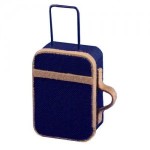 Dollhouse Carry-On Suitcase