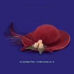 &amp;sect; Sale .60&amp;cent; Off - Dollhouse Hat with Feather