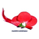 &amp;sect; Sale .60&amp;cent; Off - Dollhouse Hat with Feather