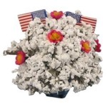 (&amp;sect;) Disc. $3 Off - Dollhouse Patriotic Plant