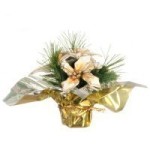 (&amp;sect;) Sale $3 Off - Dollhouse Poinsettia Pot