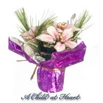 (&amp;sect;) Sale $3 Off - Dollhouse Poinsettia Pot