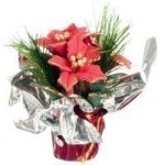 (&amp;sect;) Sale $3 Off - Dollhouse Poinsettia Pot