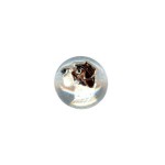 (*) Dollhouse Assorted Paper Weight