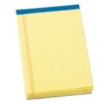 (*) Dollhouse Legal Pad