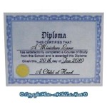 &amp;sect; Sale .40&amp;cent; Off - Dollhouse High School Diploma