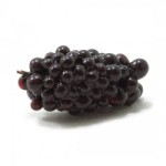 (*) Dollhouse 1 Bunch of Purple Grapes