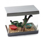 Dollhouse Pet Snake in Terrarium