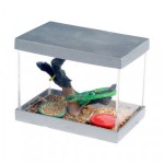 Dollhouse Pet Snake in Terrarium
