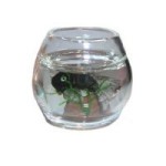 &amp;sect; Damaged $3 Off - Filled Fish Bowl