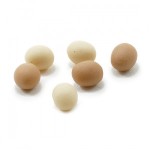 (*) Dollhouse 6 Eggs