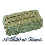 1, 3, 6 or 12 Dollhouse Hay Bales- Choice of Quantity &amp; Size -