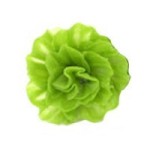 1 or 6 or 12 pc Dollhouse Garden Fresh Lettuce