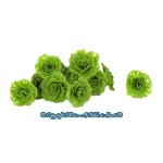 1 or 6 or 12 pc Dollhouse Garden Fresh Lettuce