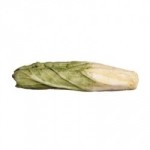(*) 1 or 6 pc Dollhouse Chinese Cabbage