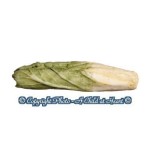 (*) 1 or 6 pc Dollhouse Chinese Cabbage